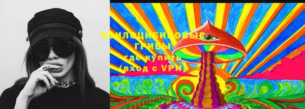 a pvp Ладушкин