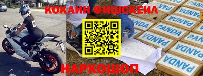 шишки Аргун