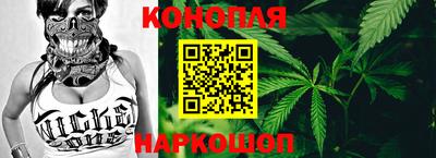 шишки Аргун