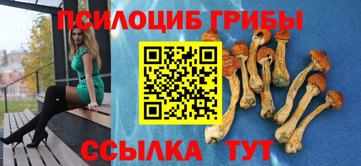 Галлюциногенные грибы Cubensis Михайловка